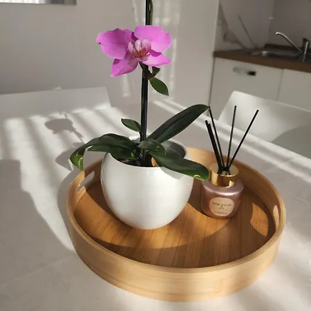 Apartamento Jasmin 1p Turate
